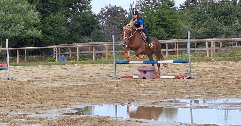 cours equitation equitation.passage de galops